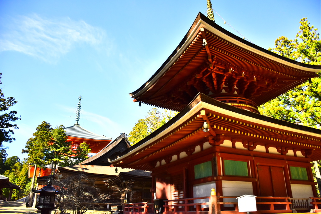 高野山にて