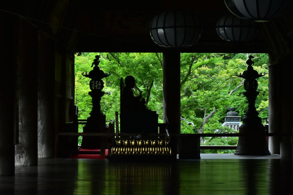 長谷寺の床緑