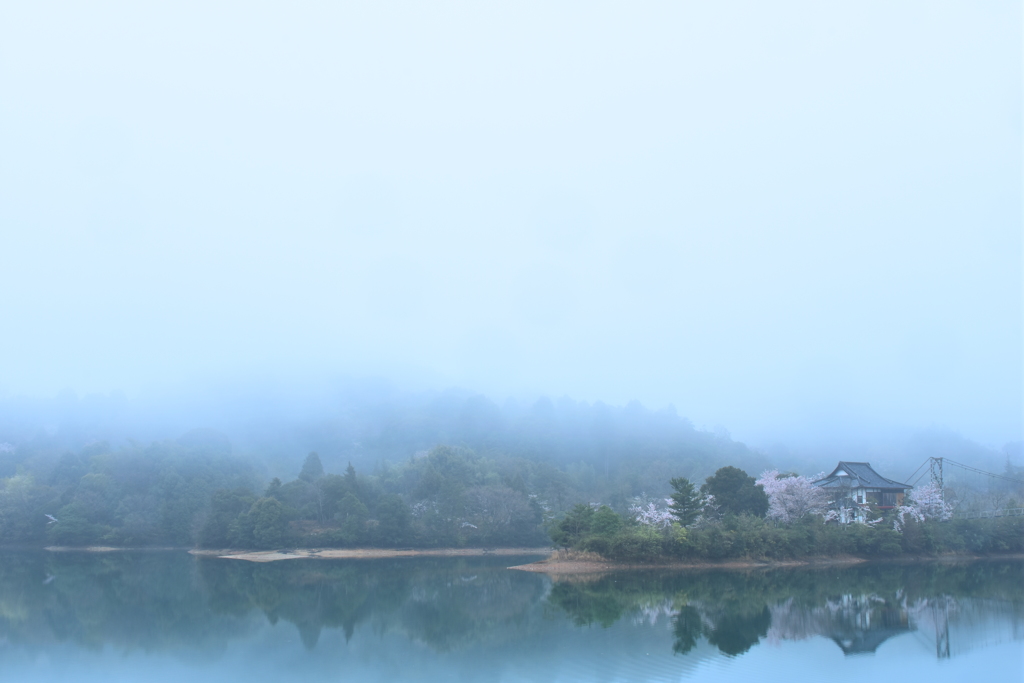 霧中の情景