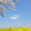 春の陽気