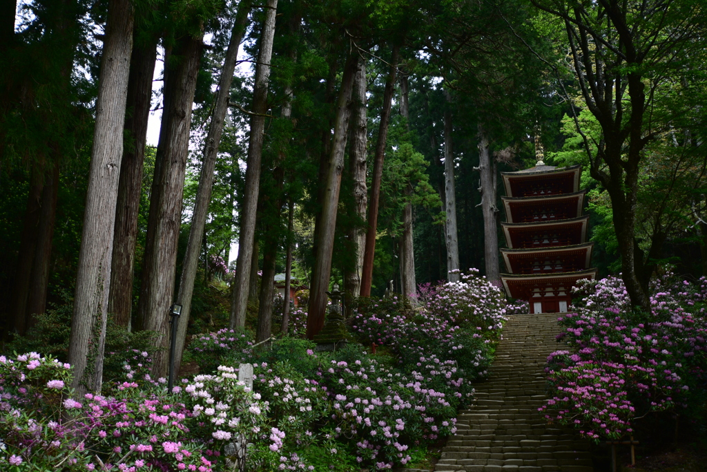 花の寺