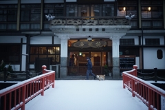 雪の朝 Heligon 35mm f2.8
