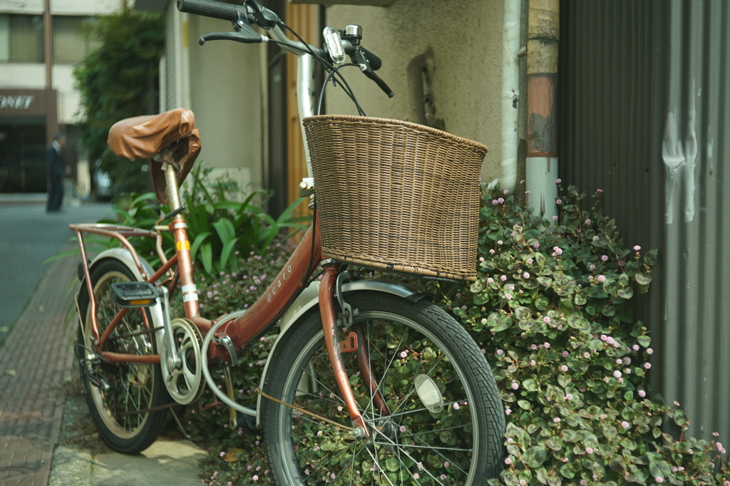 Boyer Saphir 50/2.8