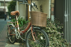 Boyer Saphir 50/2.8