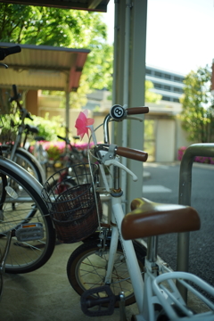 出番待ち Summaron 35mm f2.8 (L/M)