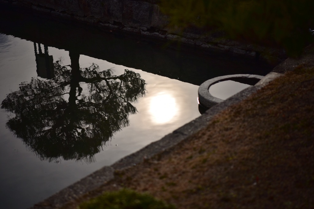 夕日