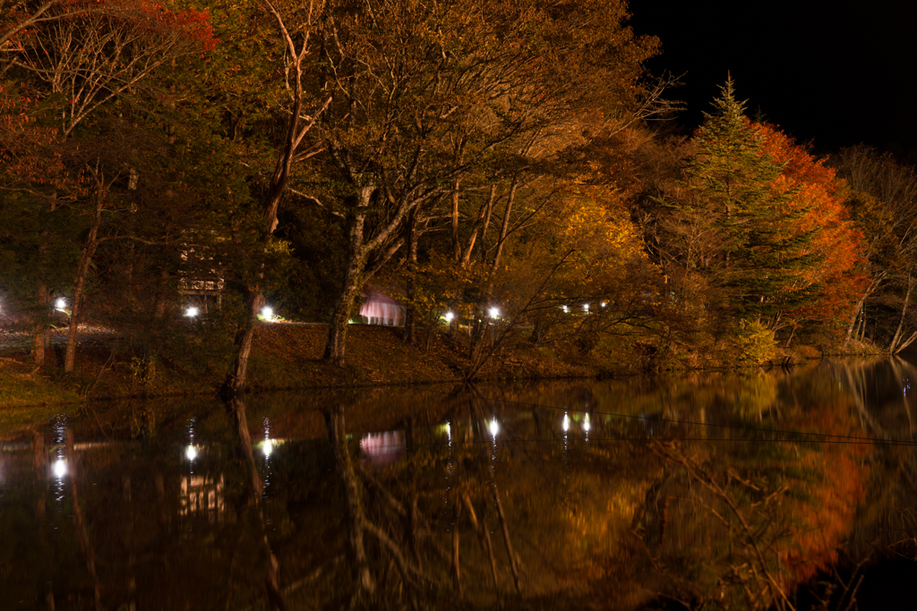 茶臼山高原の紅葉３