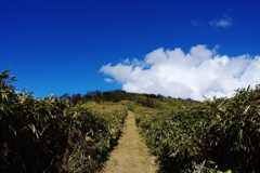 天まで続く道