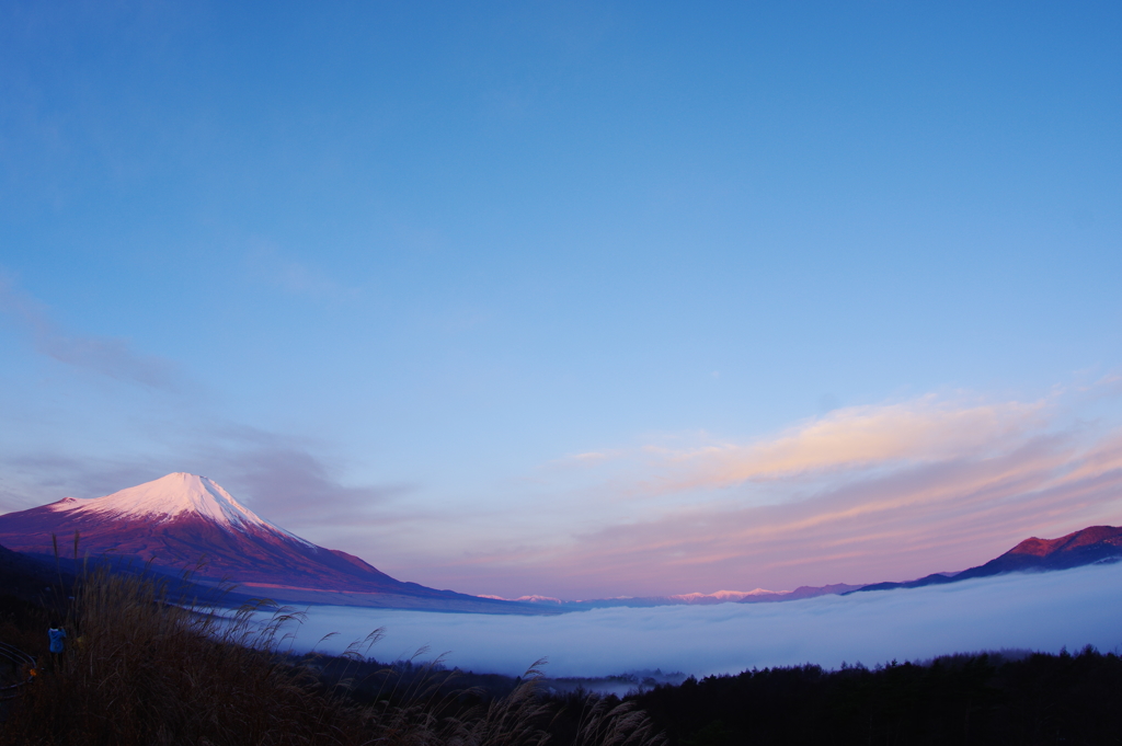 朝焼けに染まる富士山と雲海