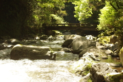 渓流に架かる橋