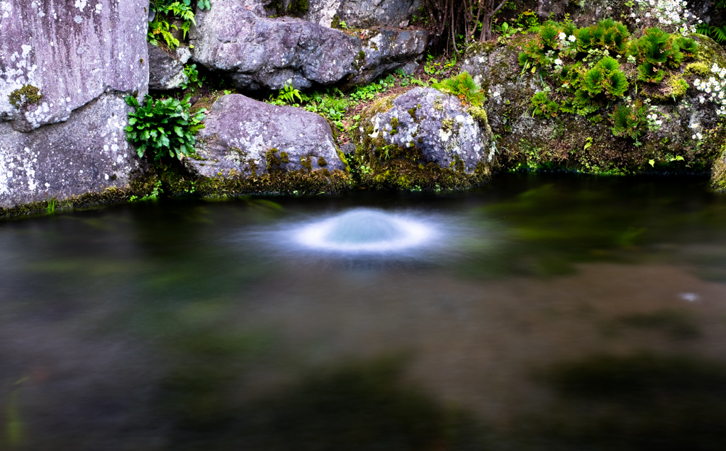 忍野八海
