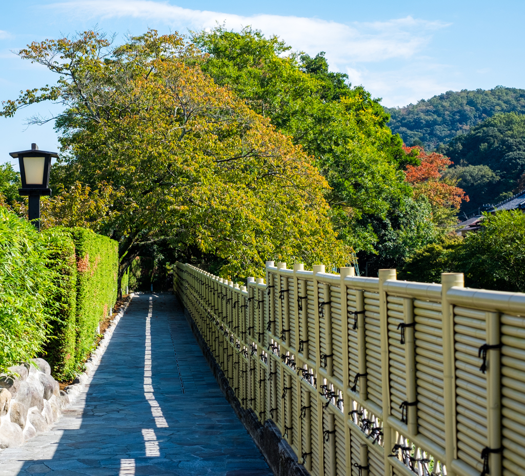 修善寺の街並み