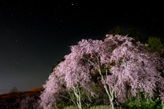 星空と桜