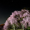 星空と桜