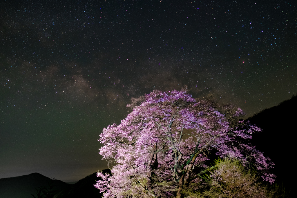 天の川と桜