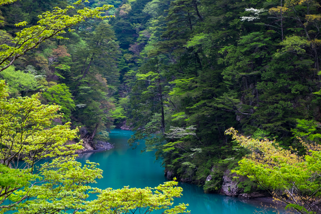 寸又峡