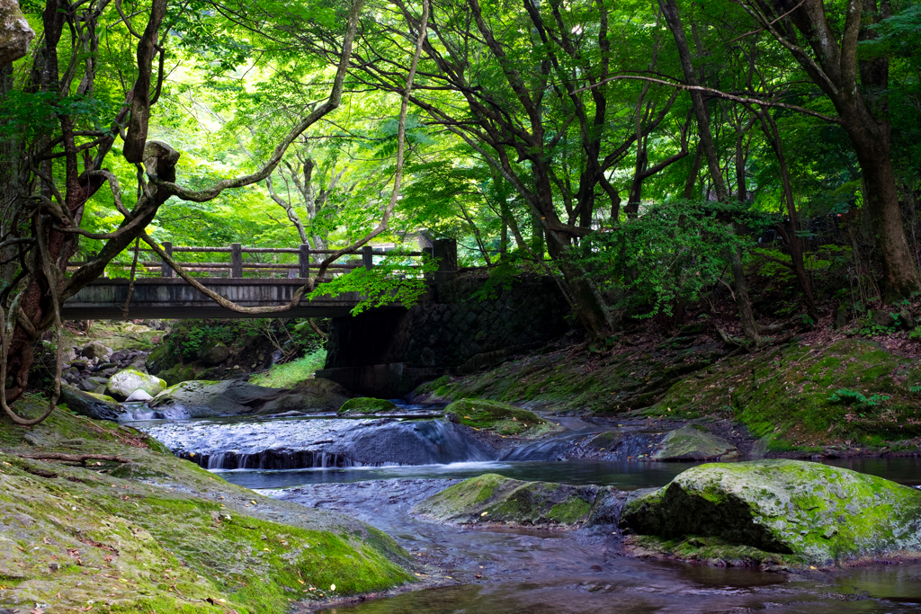 橋