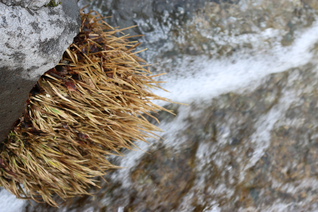 君、頑張ってるね。