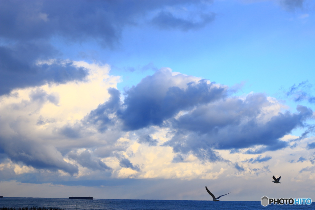 世界の向こう側