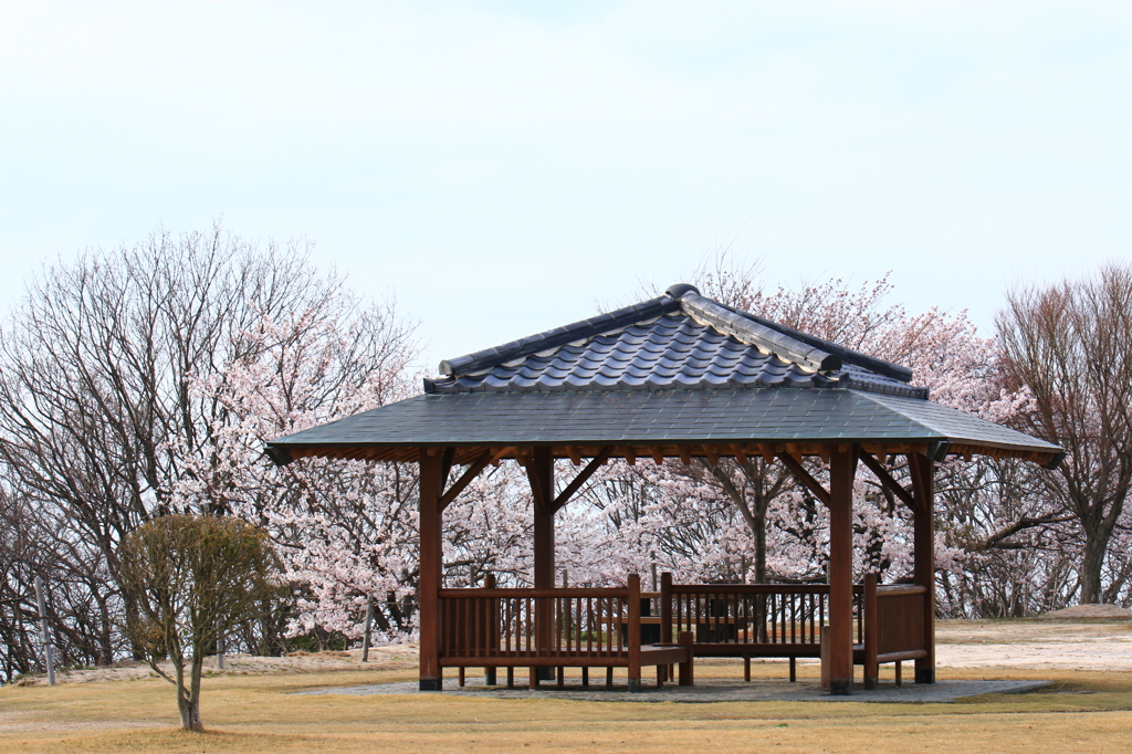 休憩しませんか？