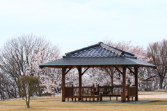 休憩しませんか？