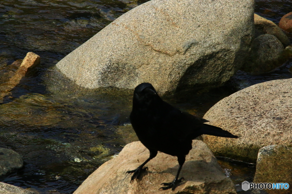 何、見てんだよ！