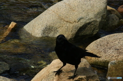 何、見てんだよ！