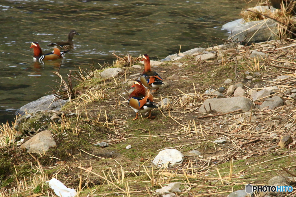 俺たちイケメン