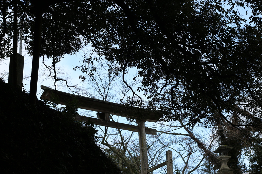 神々が集う場所