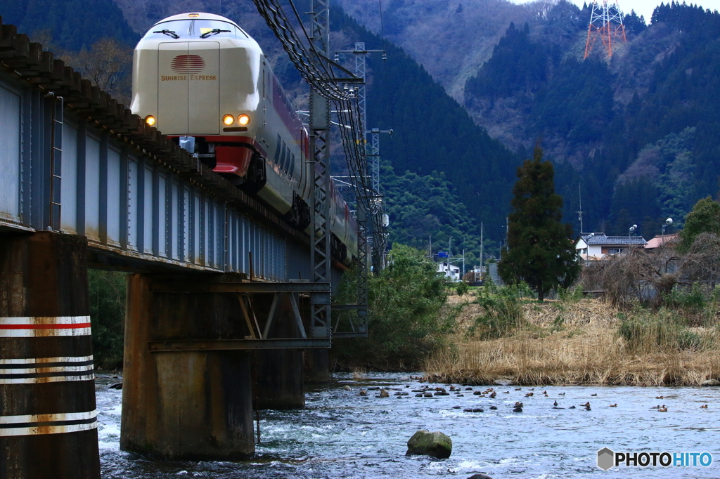 オシドリの天敵
