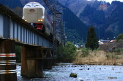 オシドリの天敵