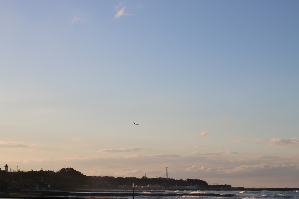 カモメの上のカモメ