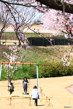 親子