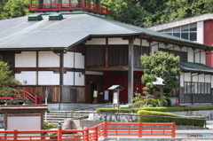 白鷺