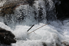 頑張れ君たち。