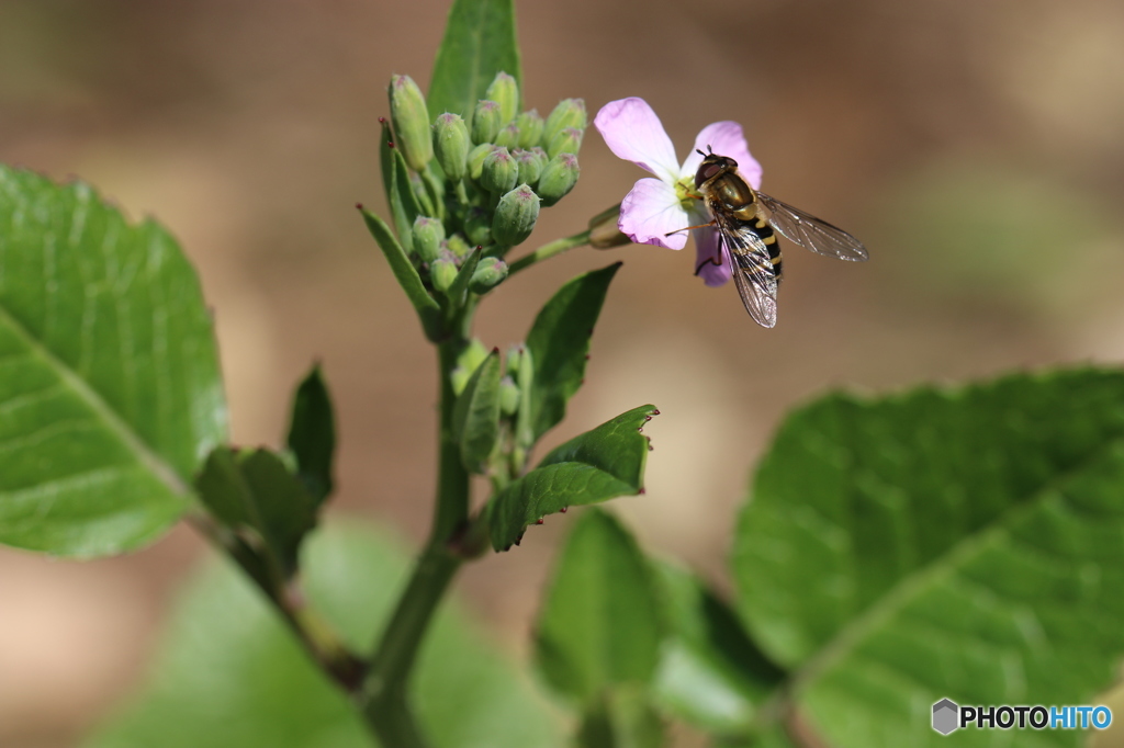 食事中失礼します