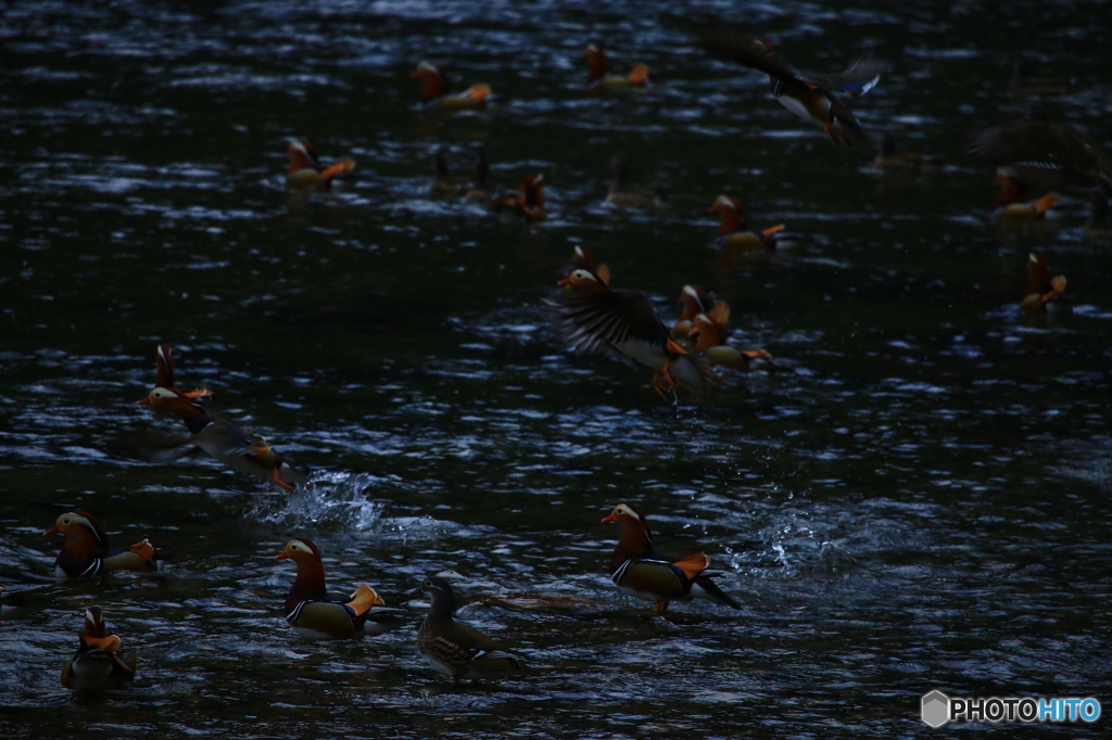 俺は飛ぶぜ俺も
