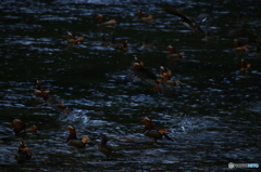 俺は飛ぶぜ俺も