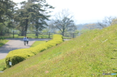 春の高原