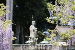 母性