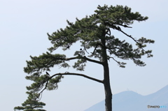 集会