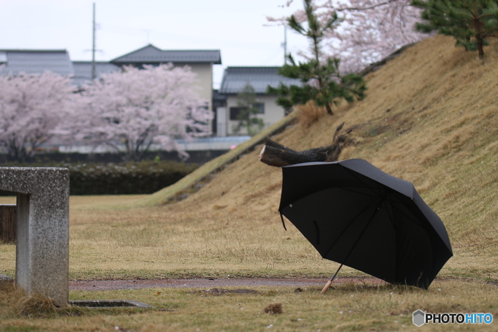 出会い