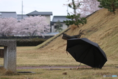 出会い
