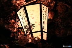 千光寺公園の提灯