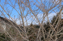 春はもうちょっと。