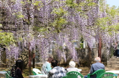 春の一時