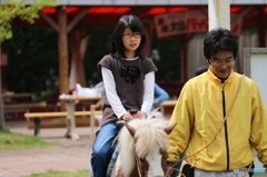 乗馬