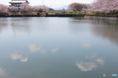 雲