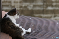 のんびりいこうｗ