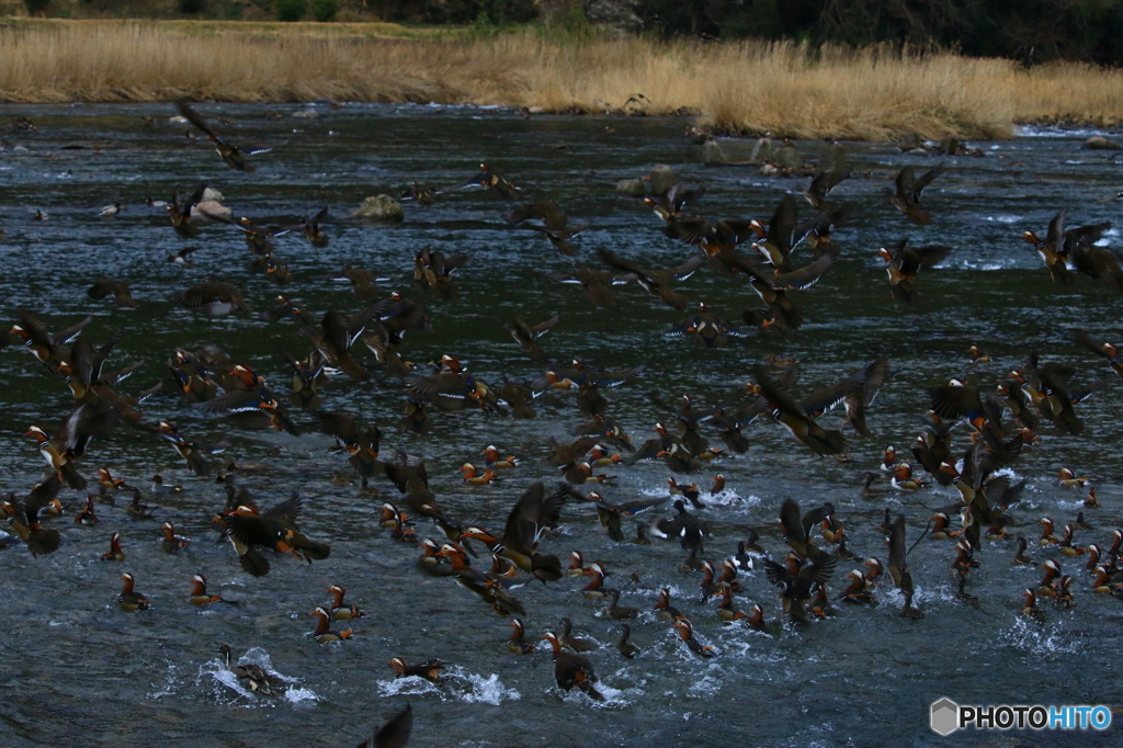 お世話になりました。